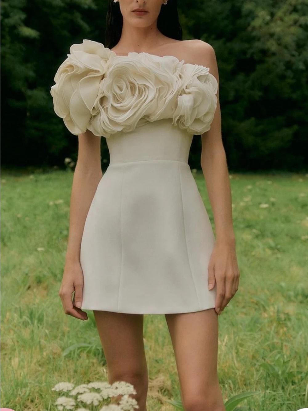 Rachel Gilbert Strapless Ivory Floral Appliqué Mini Dress
